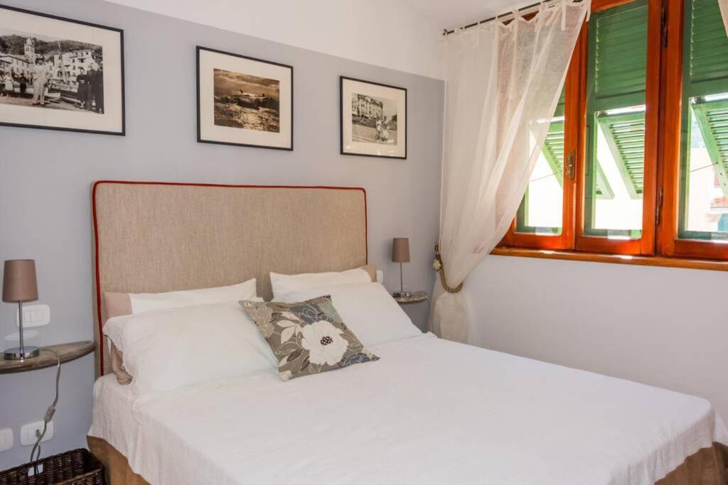 Villa Ossi Di Seppia Riomaggiore Exterior foto